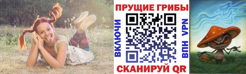 Галлюциногенные грибы прущие грибы  Щёкино 