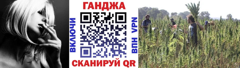 Канабис гибрид  Щёкино 